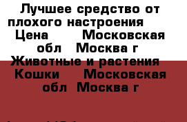 Лучшее средство от плохого настроения!!!  › Цена ­ 5 - Московская обл., Москва г. Животные и растения » Кошки   . Московская обл.,Москва г.